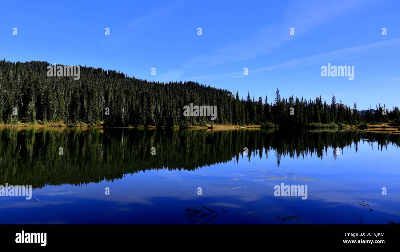 Il lago fiancheggiato dalla foresta rispecchia legname e cielo in una splendida simmetria al Mount Rainier National Park, rivelando la bellezza incontaminata della natura selvaggia di Washington. Foto Stock