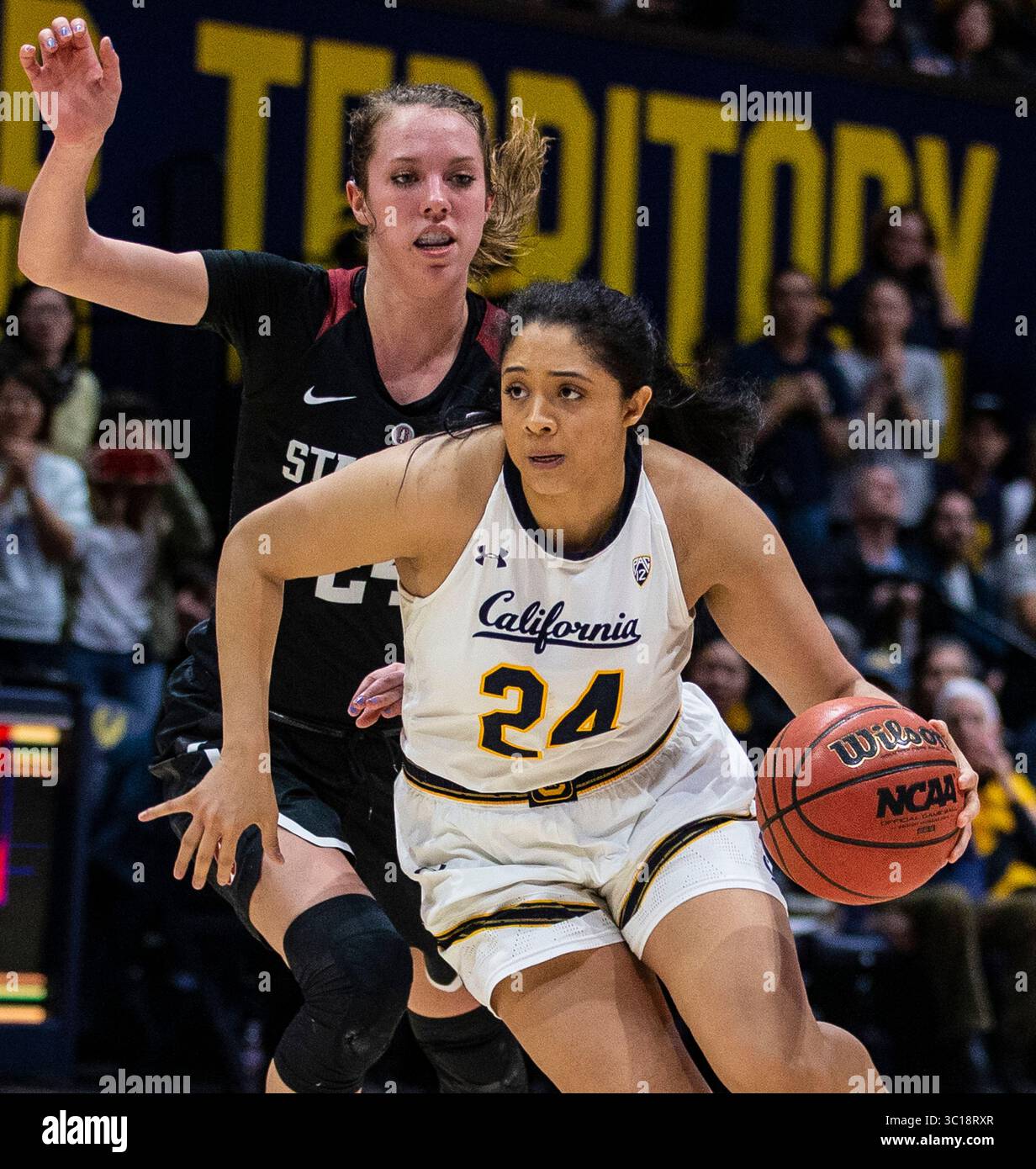 31 gennaio 2019 Berkeley, CA U.S.A. la guardia californiana Recee' Caldwell (24) porta il pallone in campo durante la partita di pallacanestro femminile NCAA tra Stanford Cardinal e i California Golden Bears 81-80 vincono all'Hass Pavilion Berkeley California. Thurman James / CSM(immagine di credito: &Copy; Thurman James/CSM tramite cavo ZUMA) Foto Stock