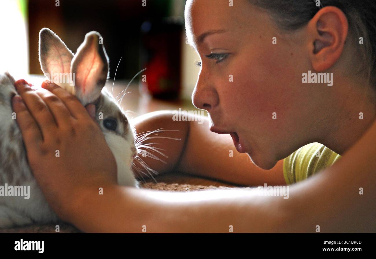 1 agosto 2012 - Lake Elmo, Mn, Stati Uniti - oggi è stato il giorno di apertura della 141a fiera annuale della contea di Washington a Lake Elmo, Minn. Jamie Odberg di 12 anni del Forest Lake, Minn., ha dato ad un Holland Lop Rabbit di nome Thumper alcune parole di incoraggiamento. Mostrerà Thumper nel 4-H Rabbit Judging .. /Star Tribune. , Lago Elmo, min Mercoledì 08/01/12) Jamie Odberg (immagine di credito: Richard Sennott/Minneapolis Star Tribune/TNS via ZUMA Wire) Foto Stock