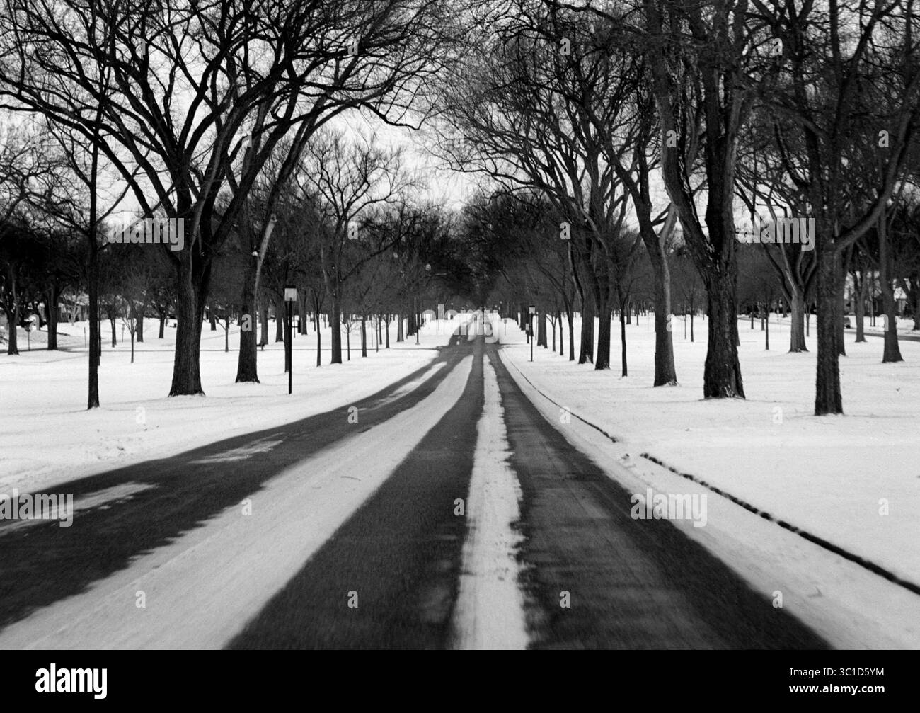 20 novembre 2000 - Stati Uniti - foto secondaria - Voices for the Land - 11/26/00 - Victory Memorial Parkway, N.E. Mpls. (Immagine di credito: Brian Peterson/Minneapolis Star Tribune/TNS via cavo ZUMA) Foto Stock
