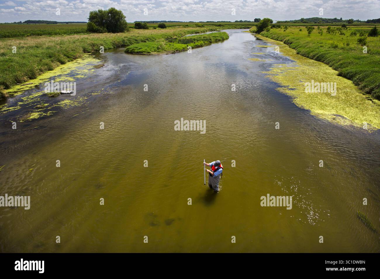 11 agosto 2015 - Albert Lea, Minnesota, Stati Uniti - Mike Walerak dell'MPCA prende un campione d'acqua dal fiume Shell Rock a sud di Albert Lea. Il campionamento di Wailer fa parte di una rete statale che monitora i carichi inquinanti nei principali fiumi. La città di Albert Lea custodisce i suoi laghi cittadini, ma l'intero spartiacque è inquinato dal deflusso delle fattorie fino a rendere i tratti inferiori del bacino insicuri per nuotare e ostili alla vita acquatica. Water Project Part II Albert Lea, Minnesota - 8/11/2015 (immagine di credito: Brian Peterson/Minneapolis Star Tribune/TNS via ZUMA Wire) Foto Stock