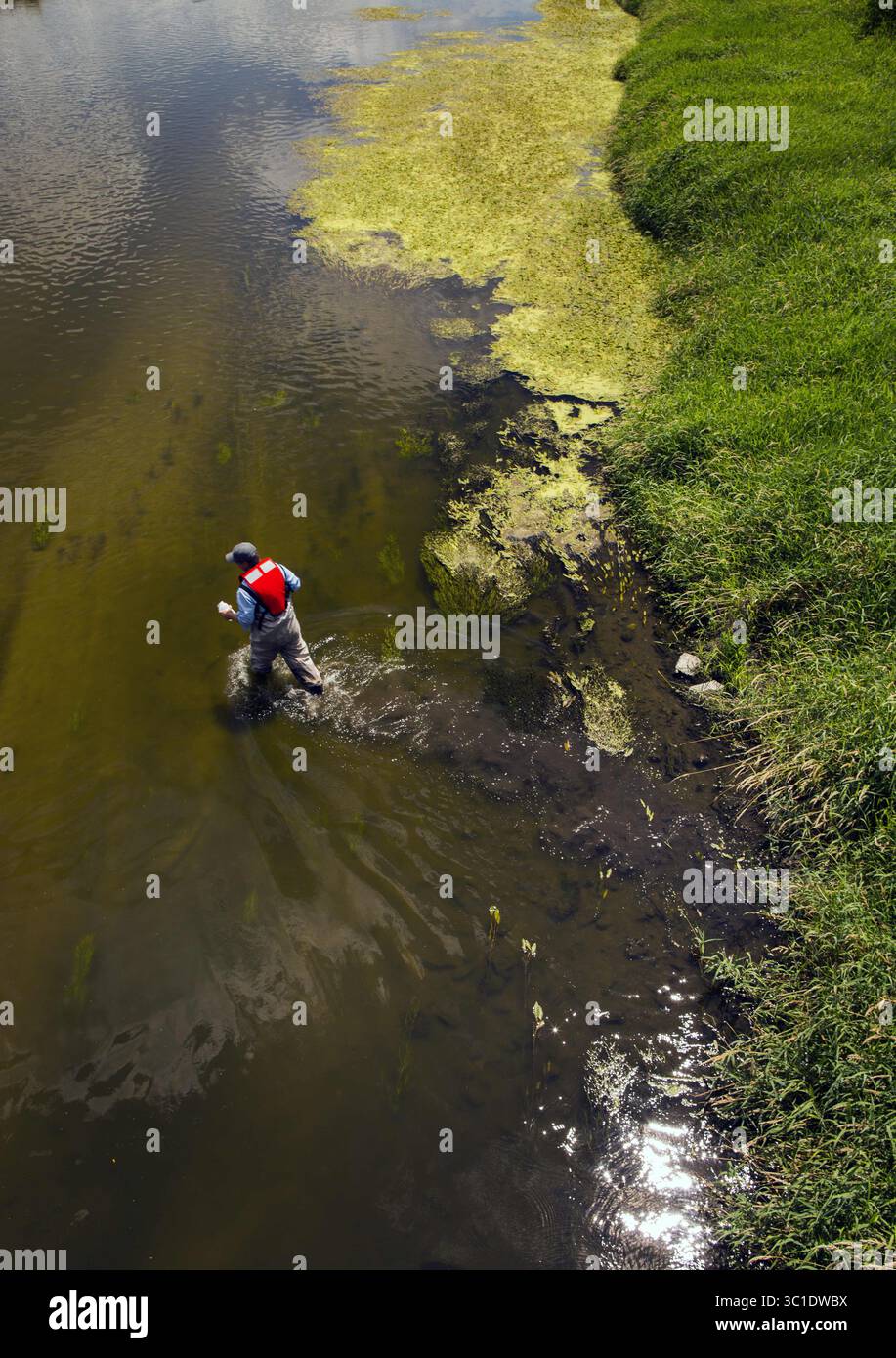 11 agosto 2015 - Albert Lea, Minnesota, Stati Uniti - Mike Walerak di MPCA si trova nel fiume Shell Rock a sud di Albert Lea per assaggiare l'acqua. Il campionamento di Wailer fa parte di una rete statale che monitora i carichi inquinanti nei principali fiumi. La città di Albert Lea custodisce i suoi laghi cittadini, ma l'intero spartiacque è inquinato dal deflusso delle fattorie fino a rendere i tratti inferiori del bacino insicuri per nuotare e ostili alla vita acquatica. Water Project Part II Albert Lea, Minnesota - 8/11/2015 (immagine di credito: Brian Peterson/Minneapolis Star Tribune/TNS via ZUMA Wire) Foto Stock