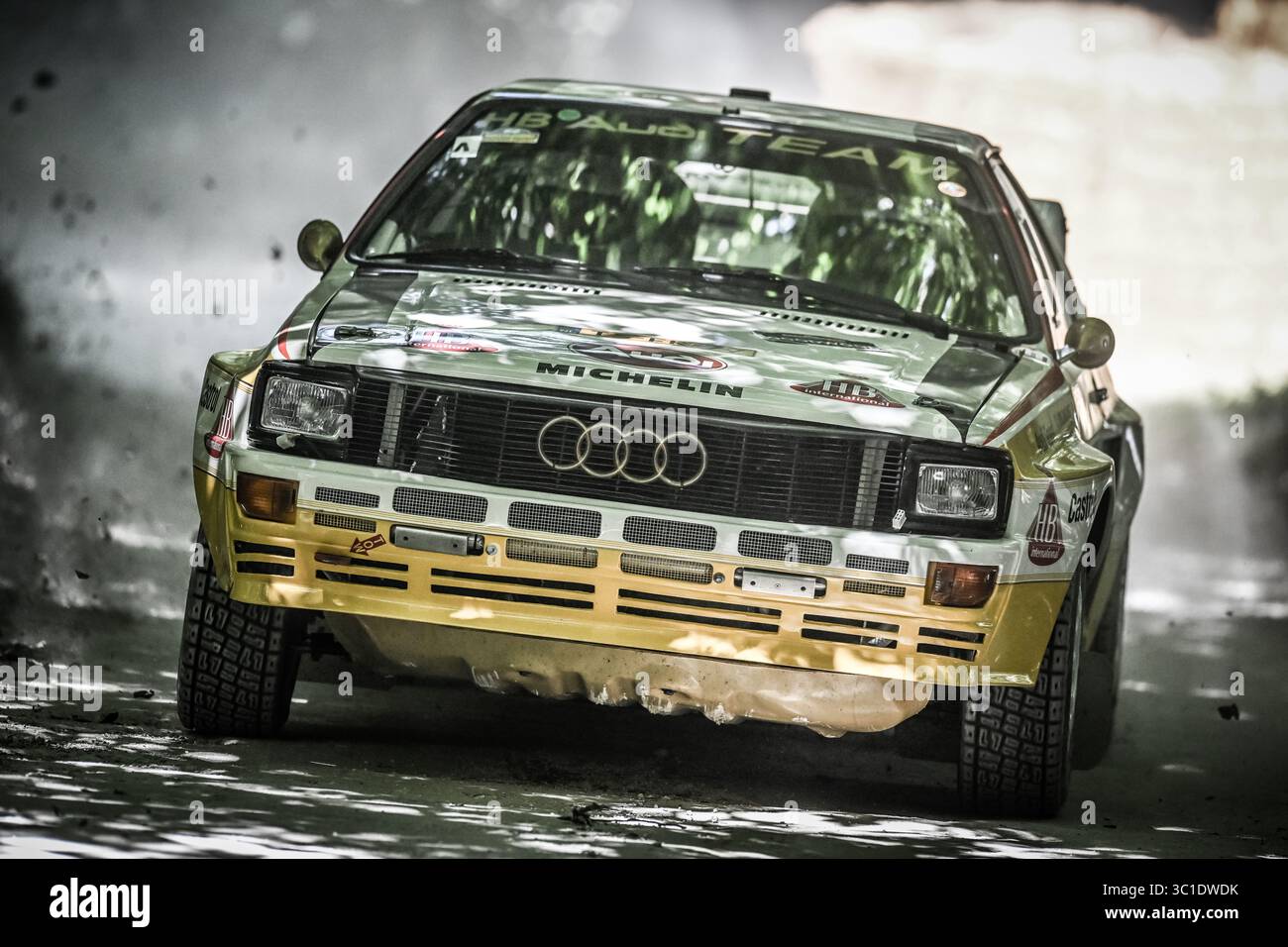 Goodwood Festival of Speed 2025 Forest Rally Stage Goodwood, Inghilterra 10/07/2025 Foto Stock