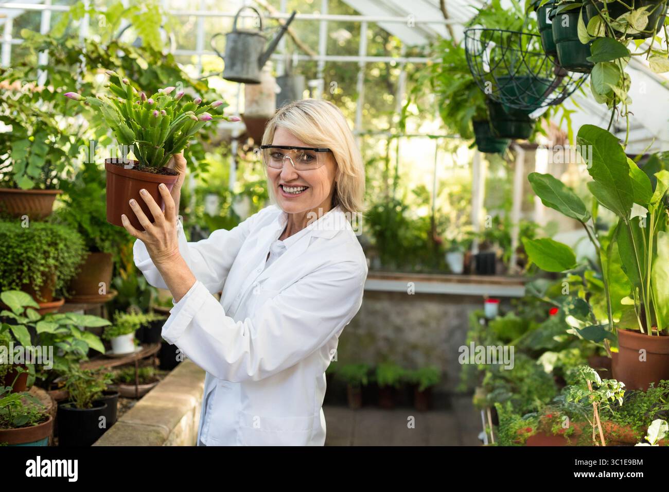 Donna orticoltore che indossa un camice da laboratorio, occhiali di sicurezza che maneggiano piante in vaso in serra Foto Stock Donna orticoltore che indossa un camice da laboratorio, occhiali di sicurezza che maneggiano piante in vaso in serra Foto Stock