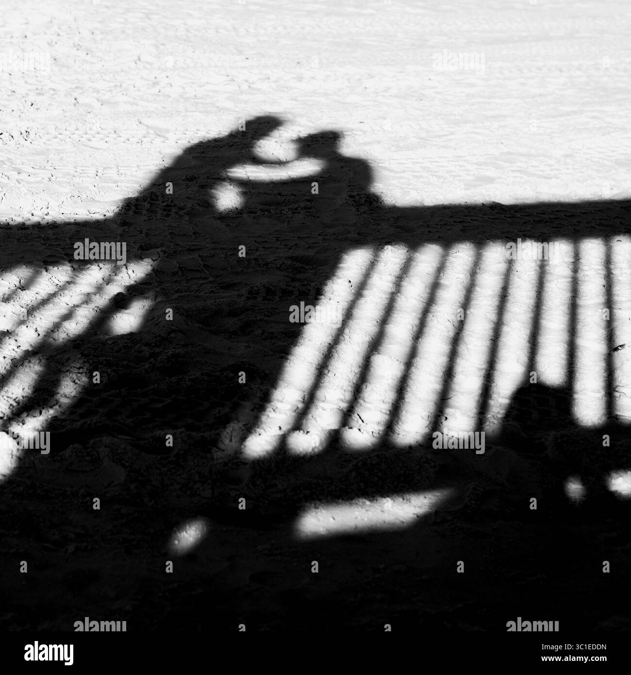 18 gennaio 2016 - Stati Uniti - Shadows on Clearwater Beach martedì 19 gennaio 2015 per la collezione Wallace Groundhog Day (immagine di credito: Glen Stubbe/Minneapolis Star Tribune/TNS via ZUMA Wire) Foto Stock