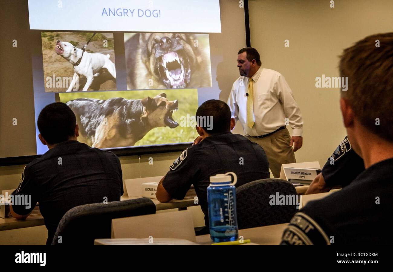 21 agosto 2017 - Minneapolis, Minnesota, Stati Uniti - le reclute della polizia di Minneapolis hanno ascoltato J. Scott Hill, capo investigatore della divisione degli ufficiali umani di Montgomery Alabma, ha parlato di come sapere se un cane è una minaccia. Mentre parlava, Wilbur, un cane di 6 anni del tipo pit Bull ha camminato per la classe. Wilbur era li' con Shannon Glen che addestra anche gruppi sulla sicurezza dei cani... Lunedì 21 agosto 2017 le reclute della polizia di Minneapolis incontreranno l'addestratore di cani e il leader nazionale della ''My Pitbull is Family'' Lunedi', parte del rispetto della promessa del dipartimento di ''interazione con i cani'' addestramento dopo che due cani hanno mangiato Foto Stock