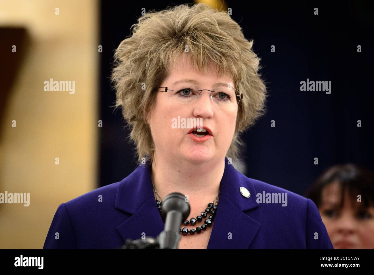 12 gennaio 2015 - St. Paul, Minnesota, Stati Uniti - Sen. Vicki Jensen. Il senatore Scott Dibble ha presentato oggi il disegno di legge sul finanziamento dei trasporti del Senato in una conferenza stampa del Campidoglio. Lunedì 12 gennaio 2015 il senatore Scott Dibble (DFL - Minneapolis) presidente del Comitato per i trasporti e la sicurezza pubblica del Senato, ha presentato la legge finanziaria del Senato sui trasporti, un disegno di legge completo per affrontare MinnesotaÕs le esigenze di trasporto ora e in futuro. La legislazione aumenta i ricavi per i finanziamenti ai trasporti a poco meno di 800 milioni di dollari, con altri 567 milioni di dollari per le strade e i ponti locali attraverso G. Foto Stock