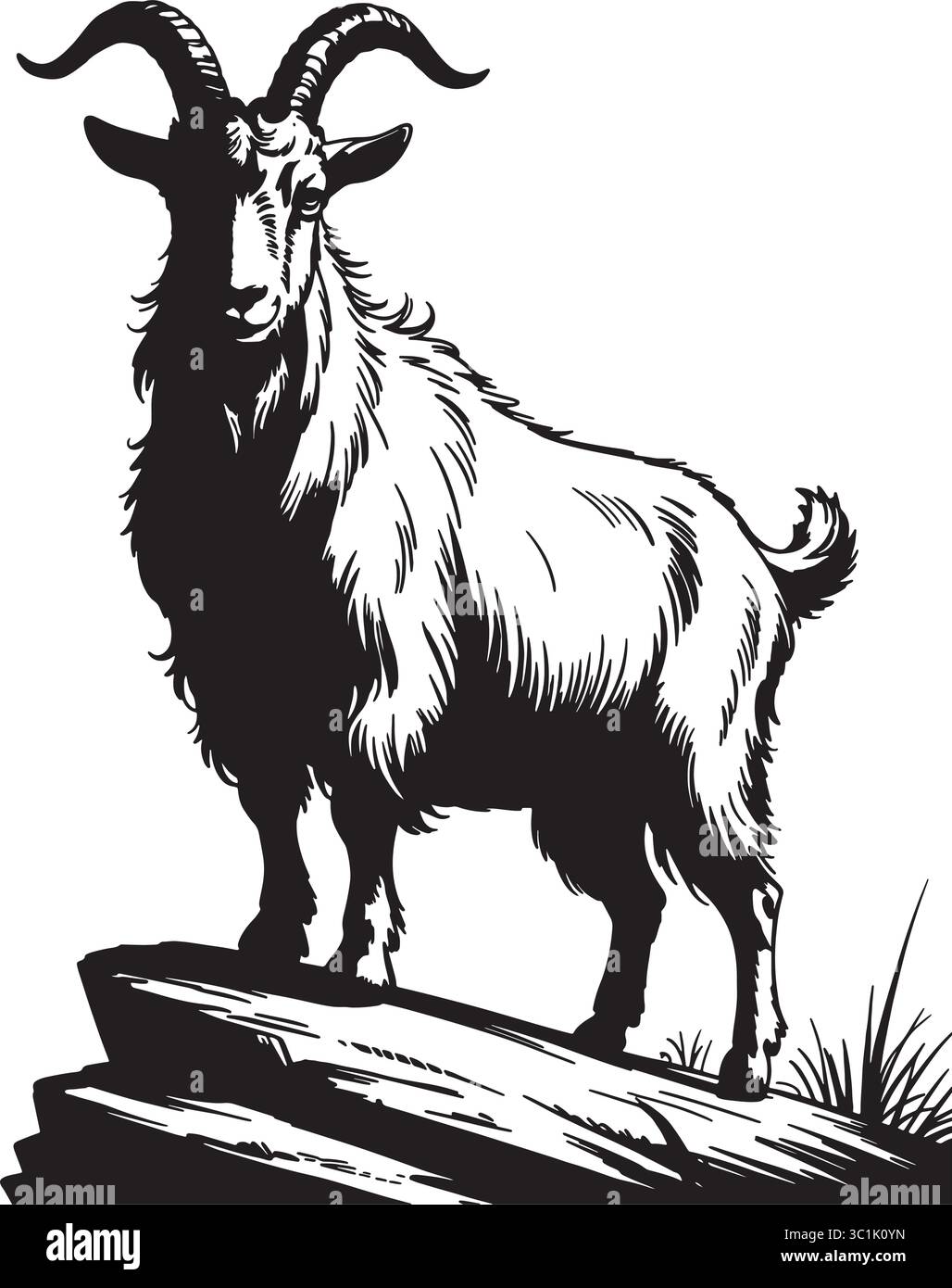 Illustrazione in bianco e nero di Majestic Mountain Goat Illustrazione Vettoriale