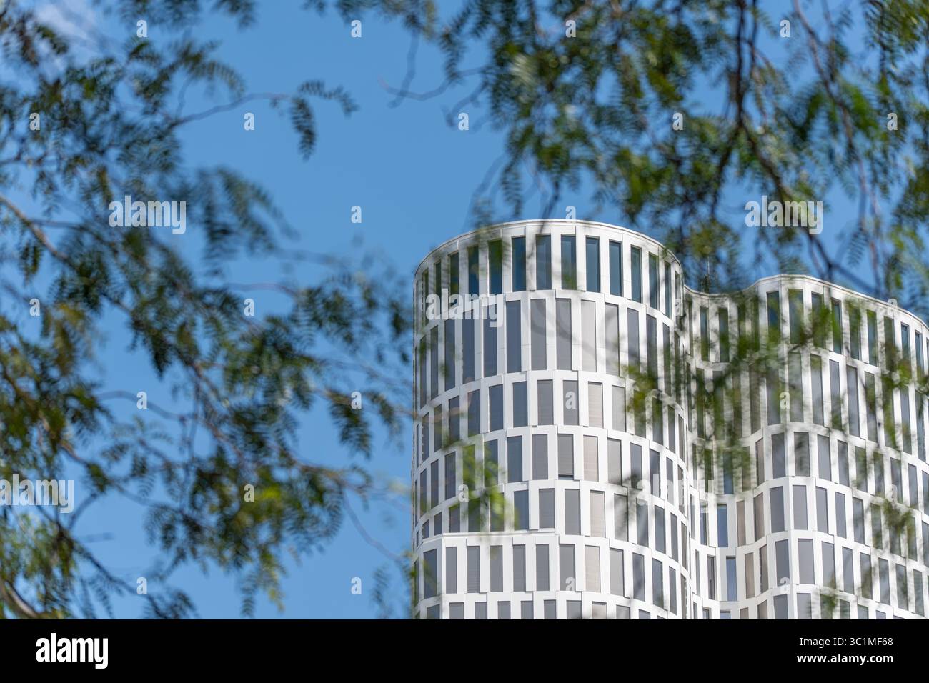 Un moderno grattacielo rotondo con costole bianche sulla facciata è parzialmente oscurato dagli alberi in primo piano. Il cielo è limpido e blu. Foto Stock Un moderno grattacielo rotondo con costole bianche sulla facciata è parzialmente oscurato dagli alberi in primo piano. Il cielo è limpido e blu. Foto Stock
