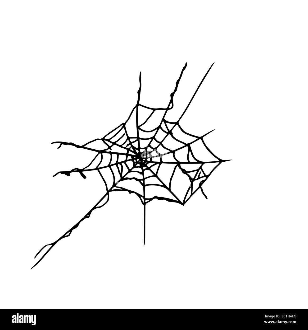 Ragnatela, silhouette, inchiostro bianco e nero. Illustrazione vettoriale. Il tradizionale decor della festa di Halloween e' isolato su uno sfondo bianco Illustrazione Vettoriale