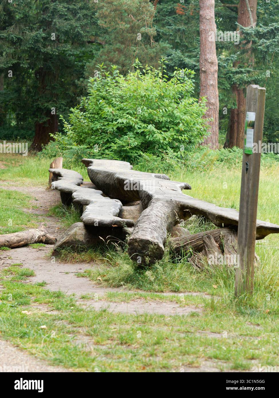 Grande tavolo da picnic realizzato con un albero caduto Foto Stock