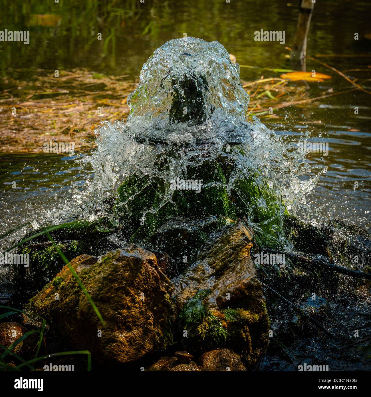 Acqua congelata Foto Stock