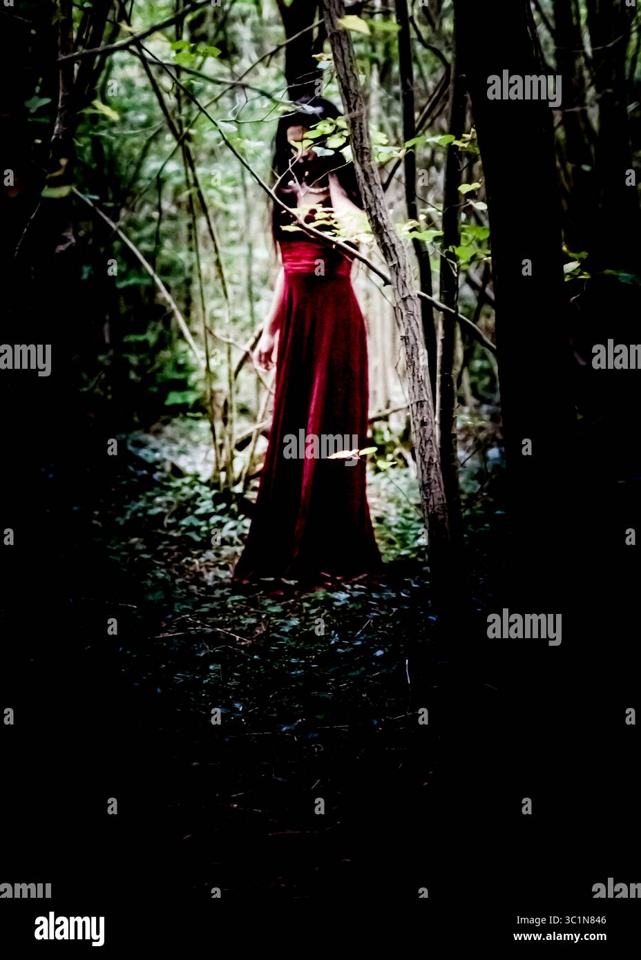 Una donna con un lungo vestito rosso si trova in una foresta scura, parzialmente oscurata da alberi e fogliame. Foto Stock Una donna con un lungo vestito rosso si trova in una foresta scura, parzialmente oscurata da alberi e fogliame. Foto Stock