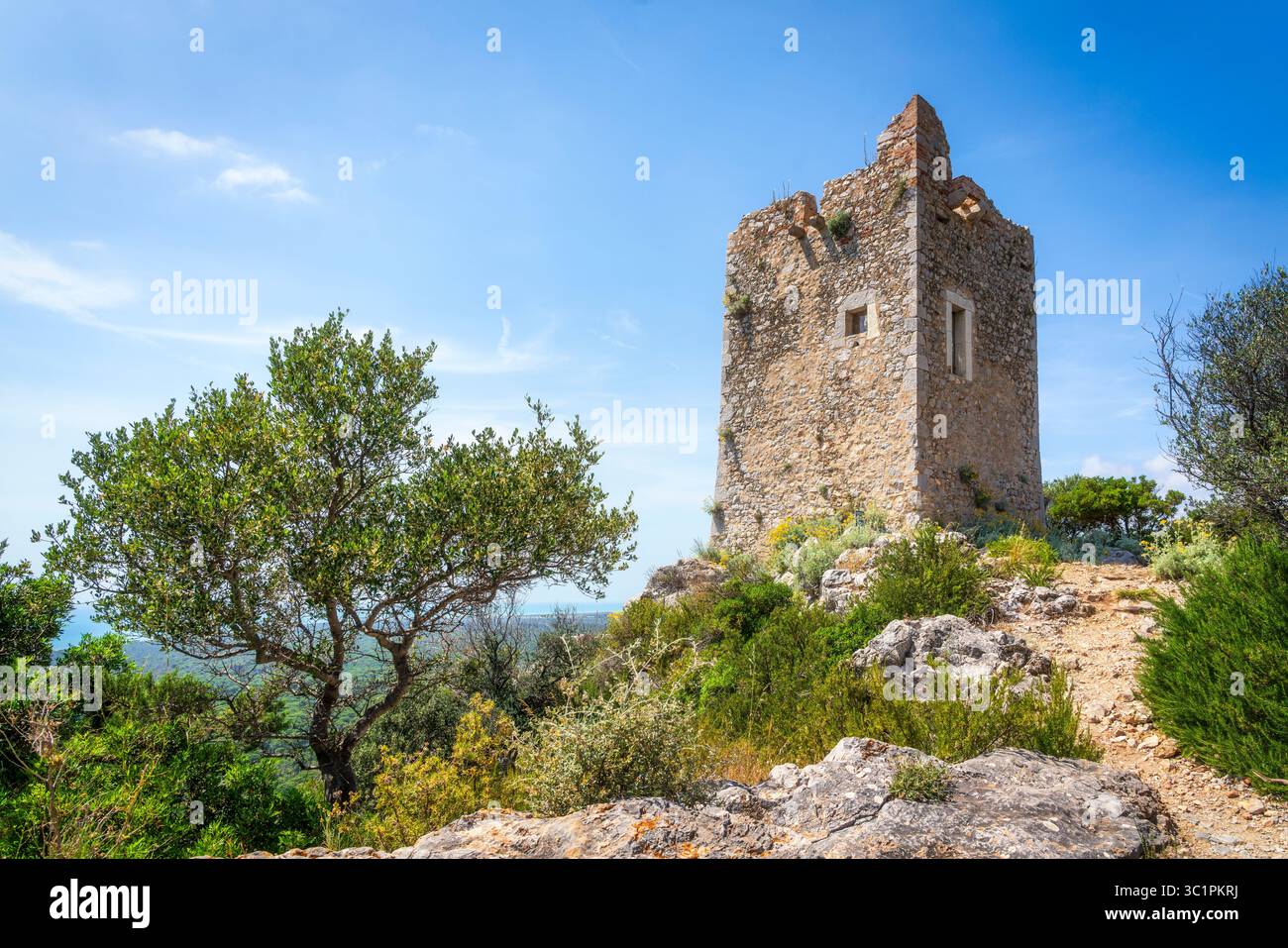 Torre di Castelmarino e un albero nel Parco della Maremma noto anche come Parco dell'Uccellina. Provincia di Grosseto, regione Toscana, Italia, Europa. Foto Stock