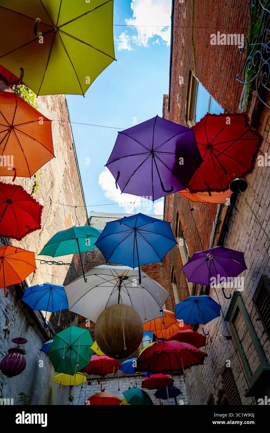 Un baldacchino di vibranti e colorati ombrelli appesi in alto, creando un'atmosfera suggestiva e giocosa lungo il passaggio pedonale. Le tonalità luminose aggiungono un tocco di allegria Foto Stock