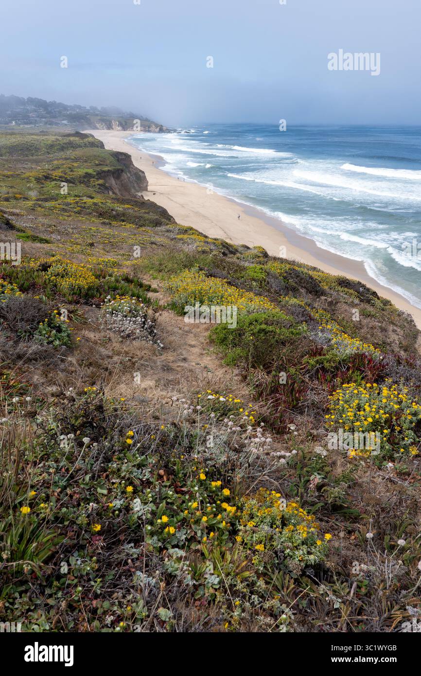 La costa del Big Sur in California Foto Stock