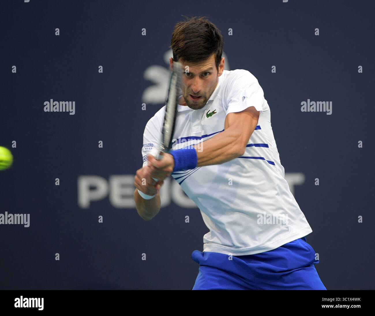 24 marzo 2019 - Miami Gardens, Florida, Stati Uniti d'America - MIAMI GARDENS, FLORIDA - 24 MARZO: Novak Djokovic della Serbia sconfigge Federico Delbonis dell'Argentina il giorno 7 del Miami Open presentato da Itau all'Hard Rock Stadium il 24 marzo 2019 a Miami Gardens, Florida. (Immagine di credito: © SMG via ZUMA Wire) Foto Stock