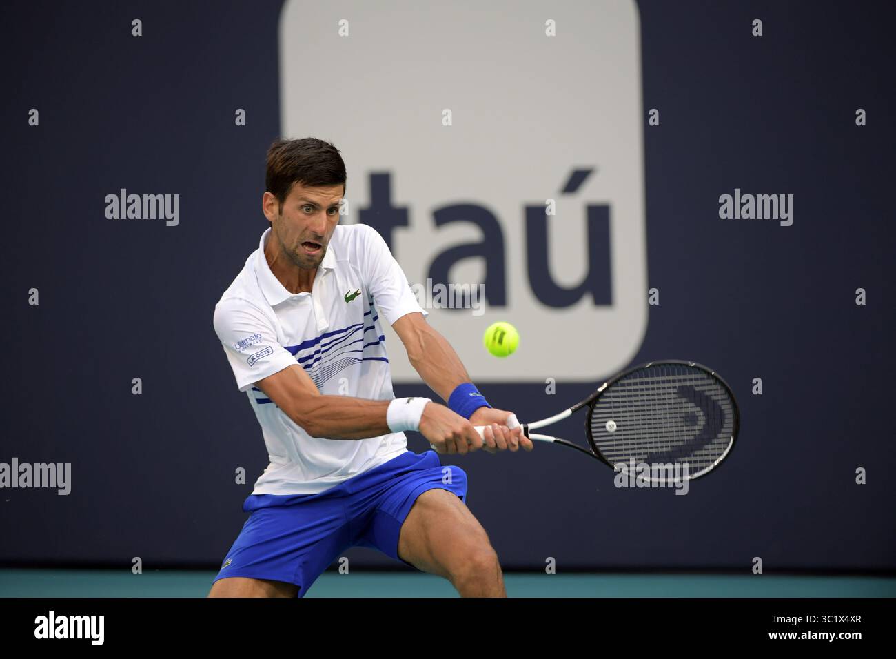 24 marzo 2019 - Miami Gardens, Florida, Stati Uniti d'America - MIAMI GARDENS, FLORIDA - 24 MARZO: Novak Djokovic della Serbia sconfigge Federico Delbonis dell'Argentina il giorno 7 del Miami Open presentato da Itau all'Hard Rock Stadium il 24 marzo 2019 a Miami Gardens, Florida. (Immagine di credito: © SMG via ZUMA Wire) Foto Stock