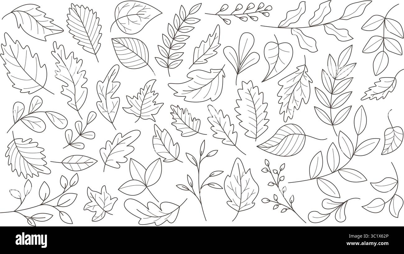 Le foglie autunnali impostano lo stile di schizzo del doodle. Linea nera silhouette fogliame di alberi diversi. Collezione di profili delle foglie autunnali, elementi vettoriali Illustrazione Vettoriale