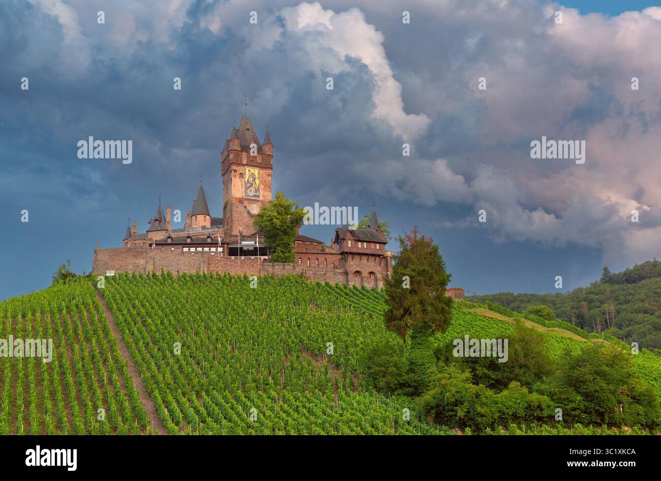 Reichsburg Cochem circondato da vigneti e colline boscose a Cochem in Germania Foto Stock
