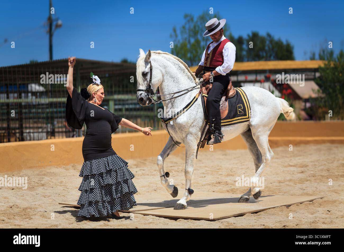 Lo spagnolo Flamenco Dancing con cavallo e ballerino femmina Foto Stock