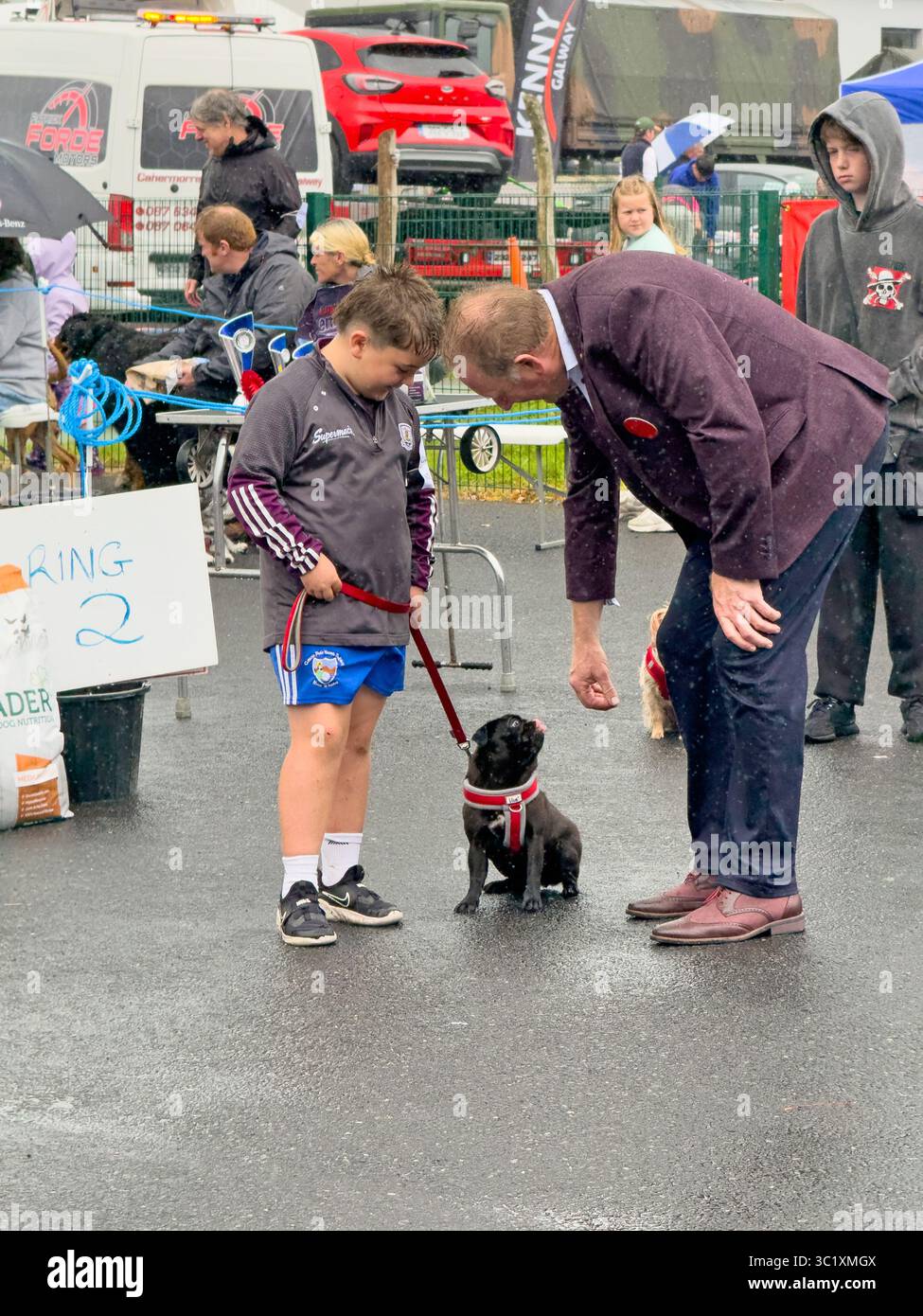 Giudicare i cani al Corrandulla Show, County Galway, Irlanda, una giornata annuale di eventi agricoli, di salto di qualità, di mostre canine ed eventi di carnevale Foto Stock