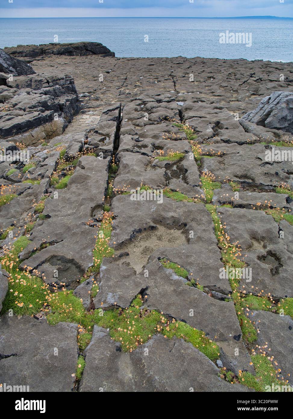 L'aspro marciapiede calcareo di Burren, Irlanda, incontra l'Oceano Atlantico sotto un cielo umido, rivelando formazioni geologiche uniche. Foto Stock