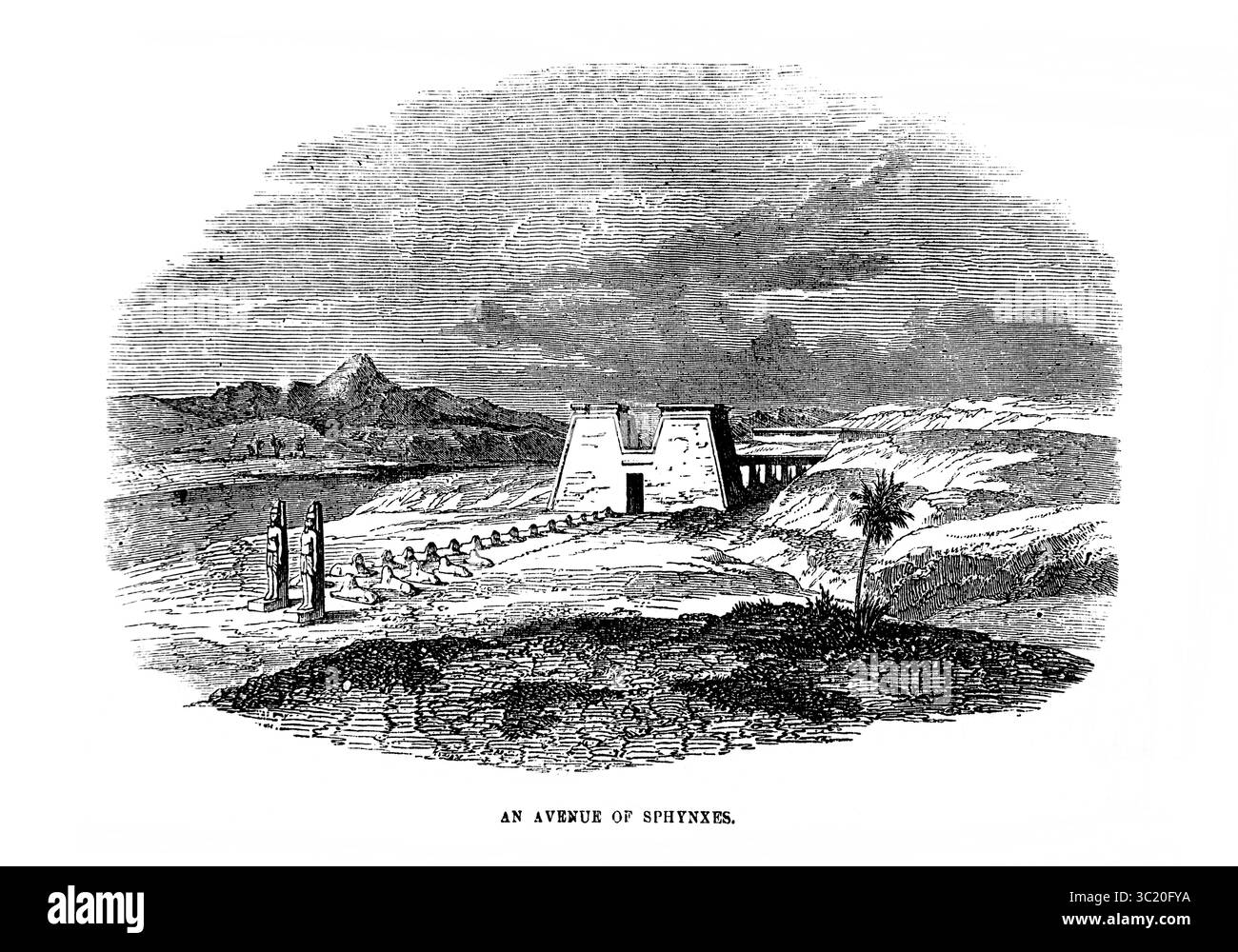 Illustrazione del viale delle Sfingi che collega il Tempio di Luxor e il Tempio di Karnak in Egitto dall'Antico XIX secolo la Sacra Bibbia contenente il Vecchio e il nuovo Testamento con note esplicative, riferimenti e una concordanza condensata pubblicata da Cassell, Petter & Galpin Foto Stock