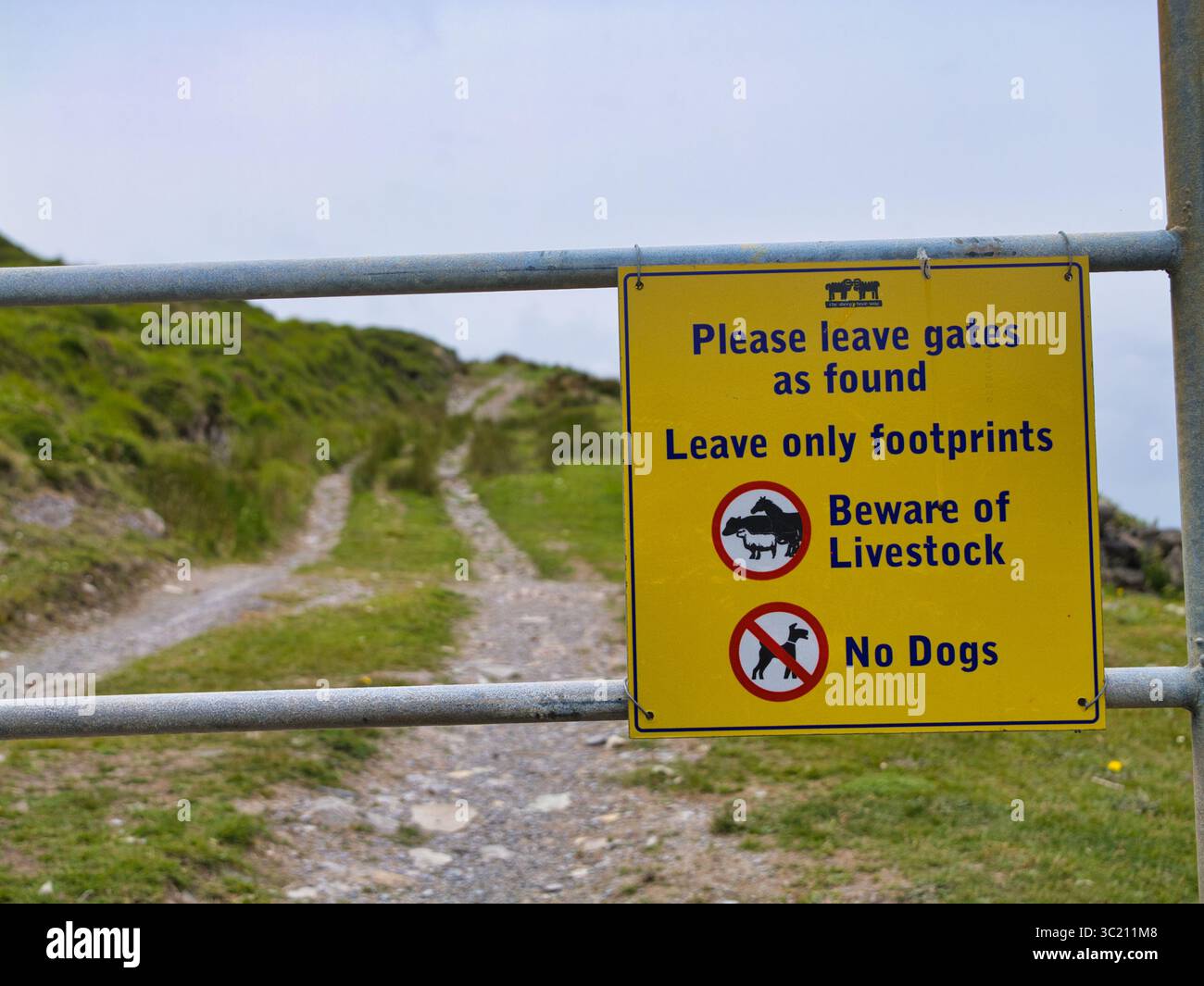 Sheeps Head, Irlanda - 2 giugno 2025: Un cartello segnaletico per gli escursionisti sul Sheeps Head Trail, Irlanda, mette in evidenza l'etichetta del percorso e la consapevolezza del bestiame. Foto Stock