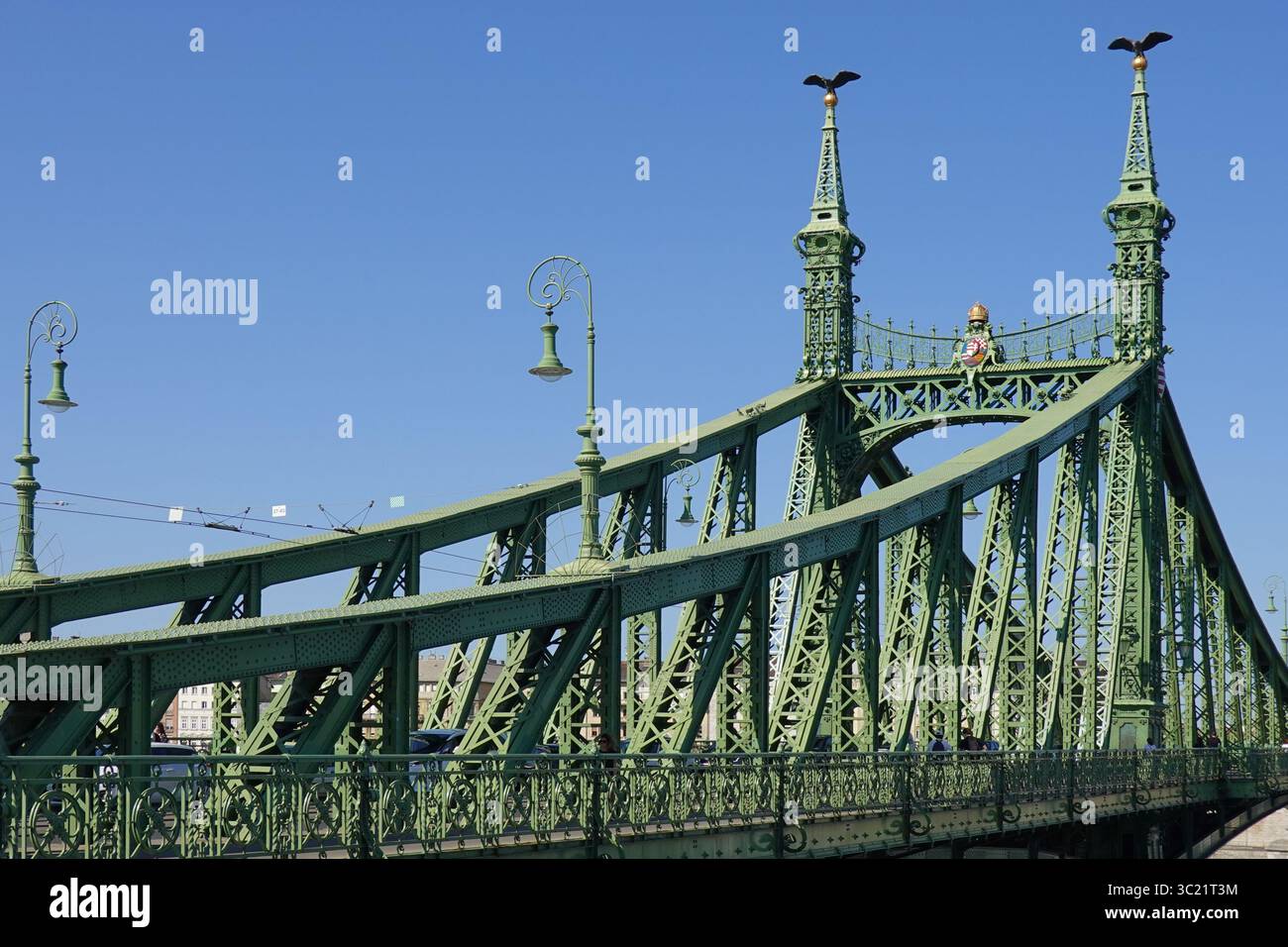 Ponte della libertà o Ponte della libertà a Budapest, Ungheria, che collega Buda e Pest attraverso il Danubio - una sbalzo di ferro verde attraverso un ponte a capriata Foto Stock