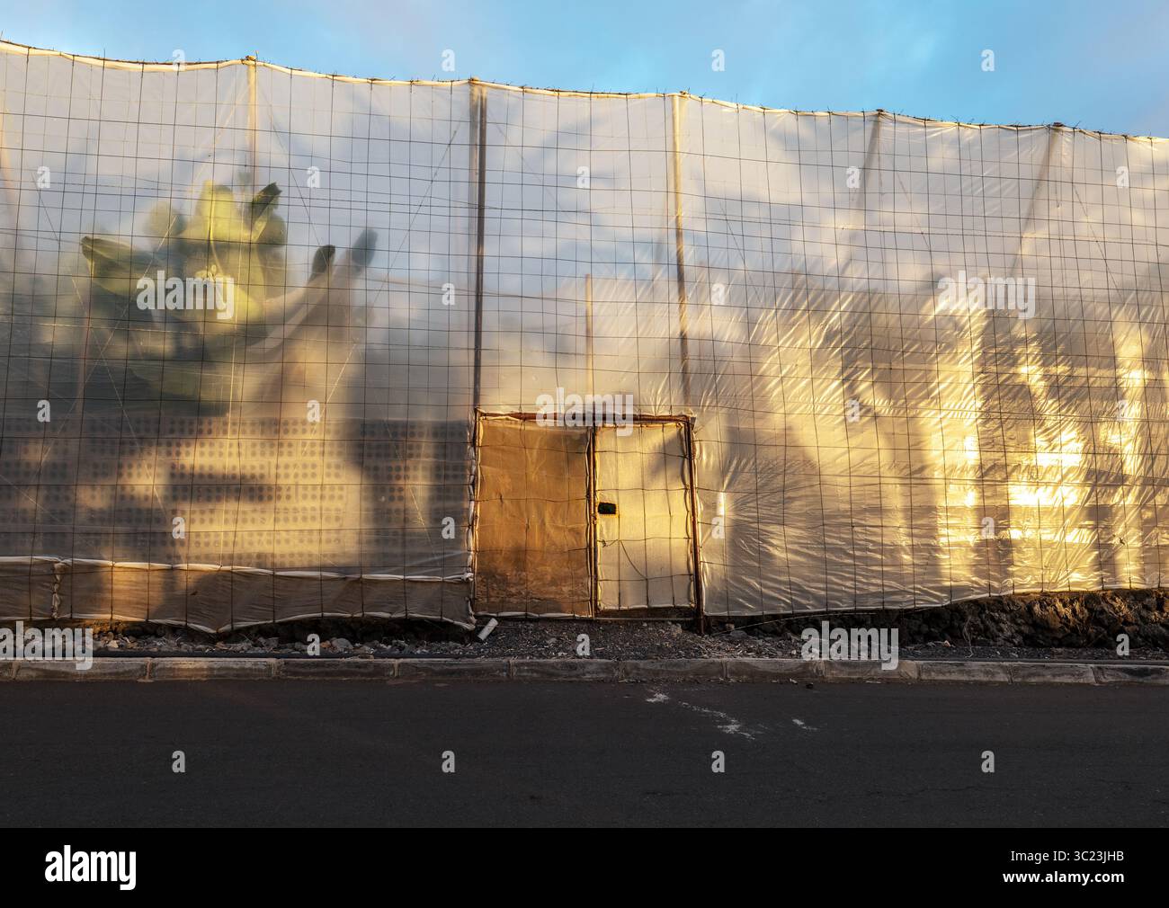Serra simile a una tenda realizzata in pellicola di plastica utilizzata per la coltivazione di banane a la Palma. Le strutture proteggono le piante da vento, sole e pioggia. Tramonto. Foto Stock
