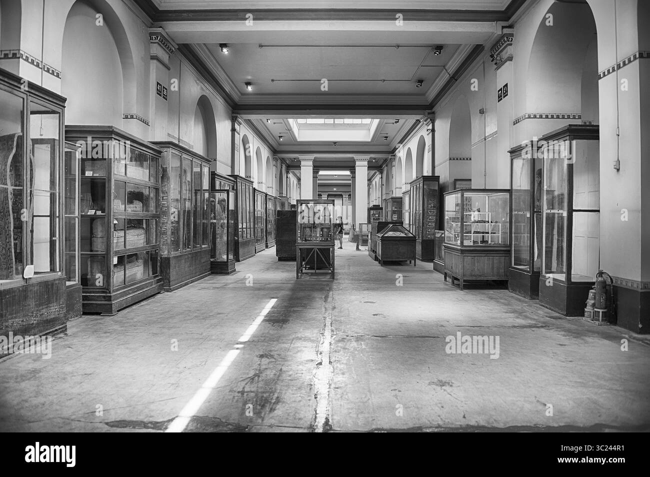 CAIRO, EGITTO - 30 GIUGNO 2025: Vista interna del famoso Museo Egizio in Piazza Tahrir, Cairo, Egitto. Il museo è stato fondato nel 1902 Foto Stock