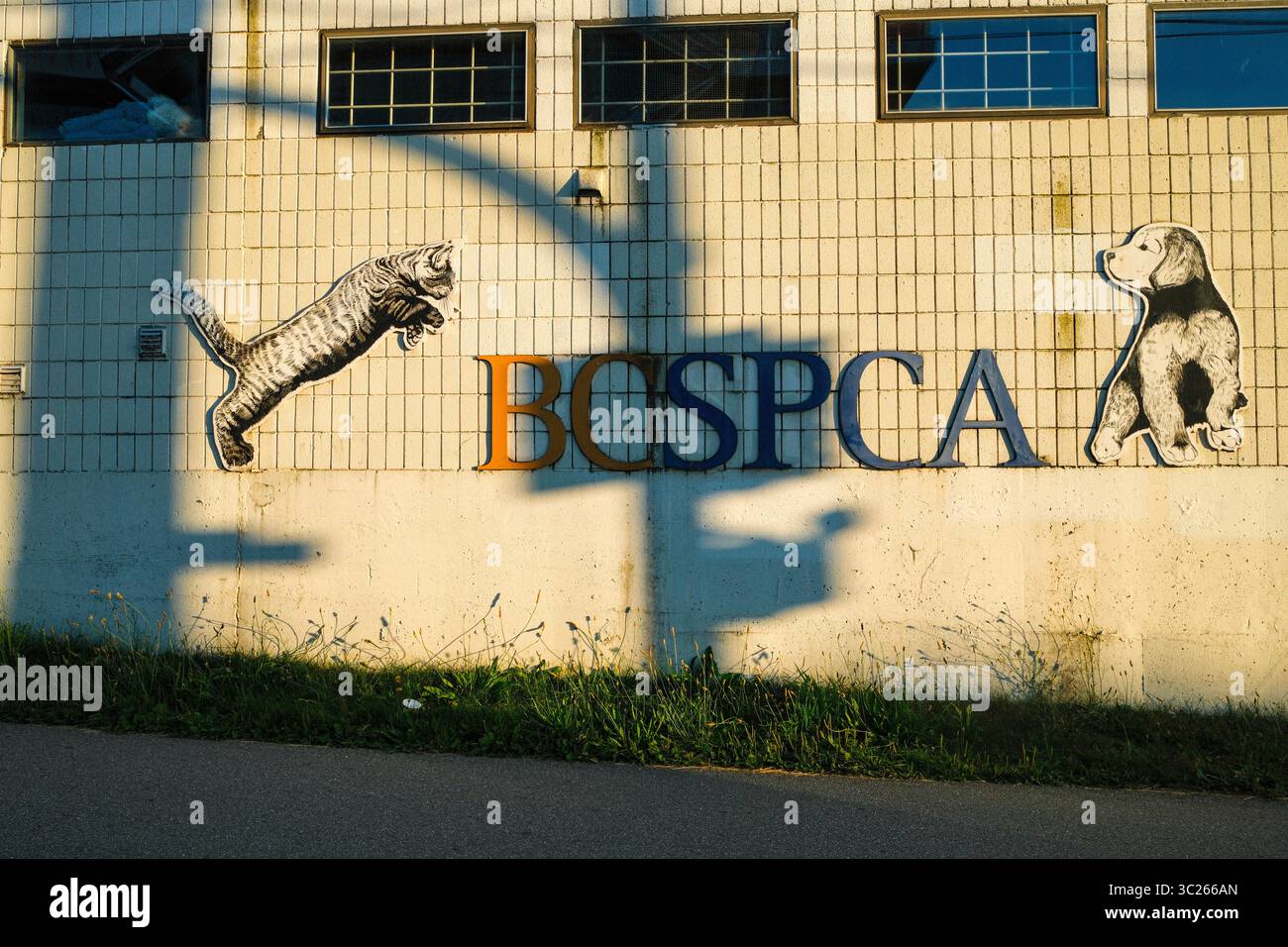 L'edificio BC SPCA lungo la Great Northern Way a False Creek Flats, Vancouver, BC. Foto Stock
