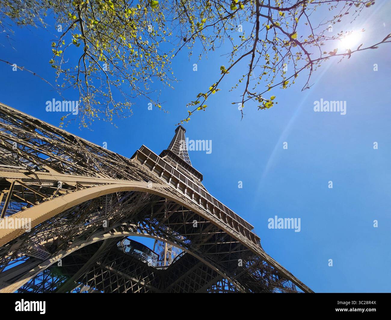 Torre Eiffel Parigi Foto Stock