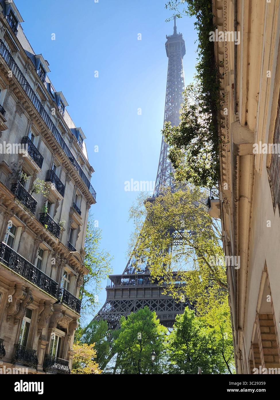 torre eiffel da rue de l'universite Foto Stock