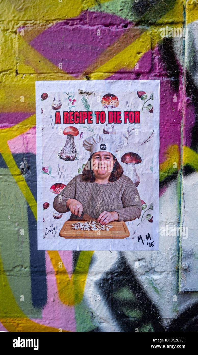 Street art di Erin Patterson a Melbourne, Australia Foto Stock