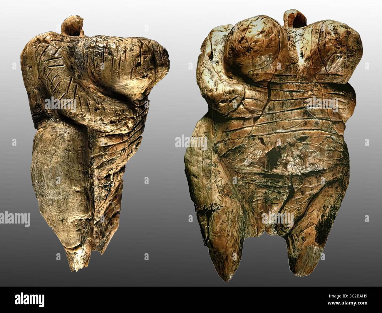 7830. Venere di Hohle Fels, Germania, 35.000 a 40.000 anni scolpito da un brosone di mammut lanoso. La figura è l'esempio più antico di una raffigurazione di Foto Stock