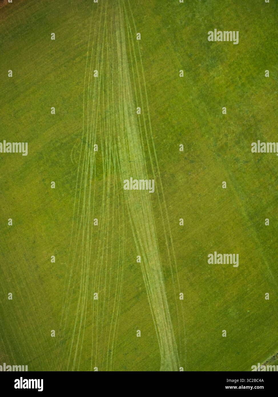 6 novembre 2016 - De Lutte, Overijssel, Paesi Bassi - Vista aerea dei marchi di pneumatici sul campo agricolo, Paesi Bassi. (Immagine di credito: © Amazing Aerial via cavo ZUMA) Foto Stock