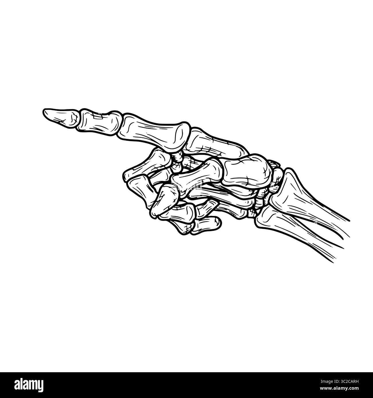 Punta la mano dello scheletro con un dito osseo, schizzo sagomato in bianco e nero. Illustrazione vettoriale. Mano di un uomo morto, isolata su sfondo bianco. Per Illustrazione Vettoriale