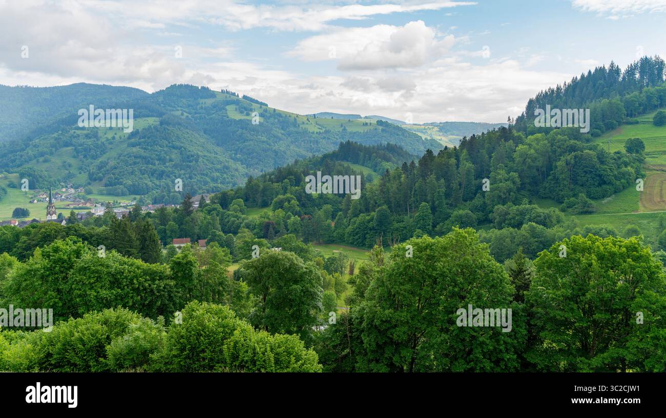 Idilliaca impressione intorno a Schönau nella Foresta Nera, una città nel distretto di Lörrach nel Baden-Württemberg, in Germania Foto Stock