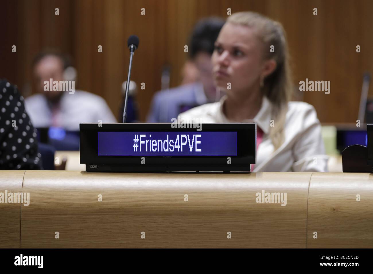 30 maggio 2019 - New York, NY, USA - Nazioni Unite, New York, USA, 30 maggio 2019 - evento speciale a tema Violent Right-Wing Extremism: Prevention and Response organizzato dal gruppo di amici della prevenzione dell'estremismo violento oggi presso la sede delle Nazioni Unite a New York. Foto: Luiz Rampelotto/EuropaNewswire. CREDITO FOTOGRAFICO OBBLIGATORIO. (Immagine di credito: © Luiz Rampelotto/ZUMA Wire) Foto Stock