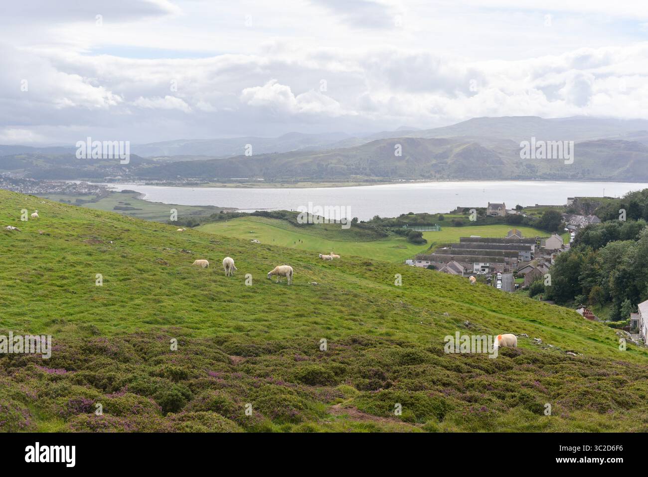 Great orme, Lllandudno, Galles del Nord, Regno Unito Foto Stock Great orme, Lllandudno, Galles del Nord, Regno Unito Foto Stock