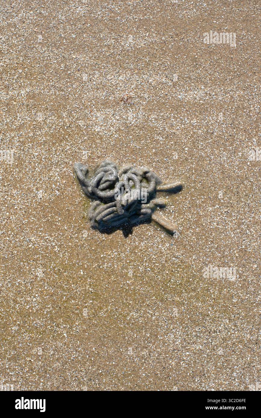 Lugworm Marks, Galles, Regno Unito Foto Stock