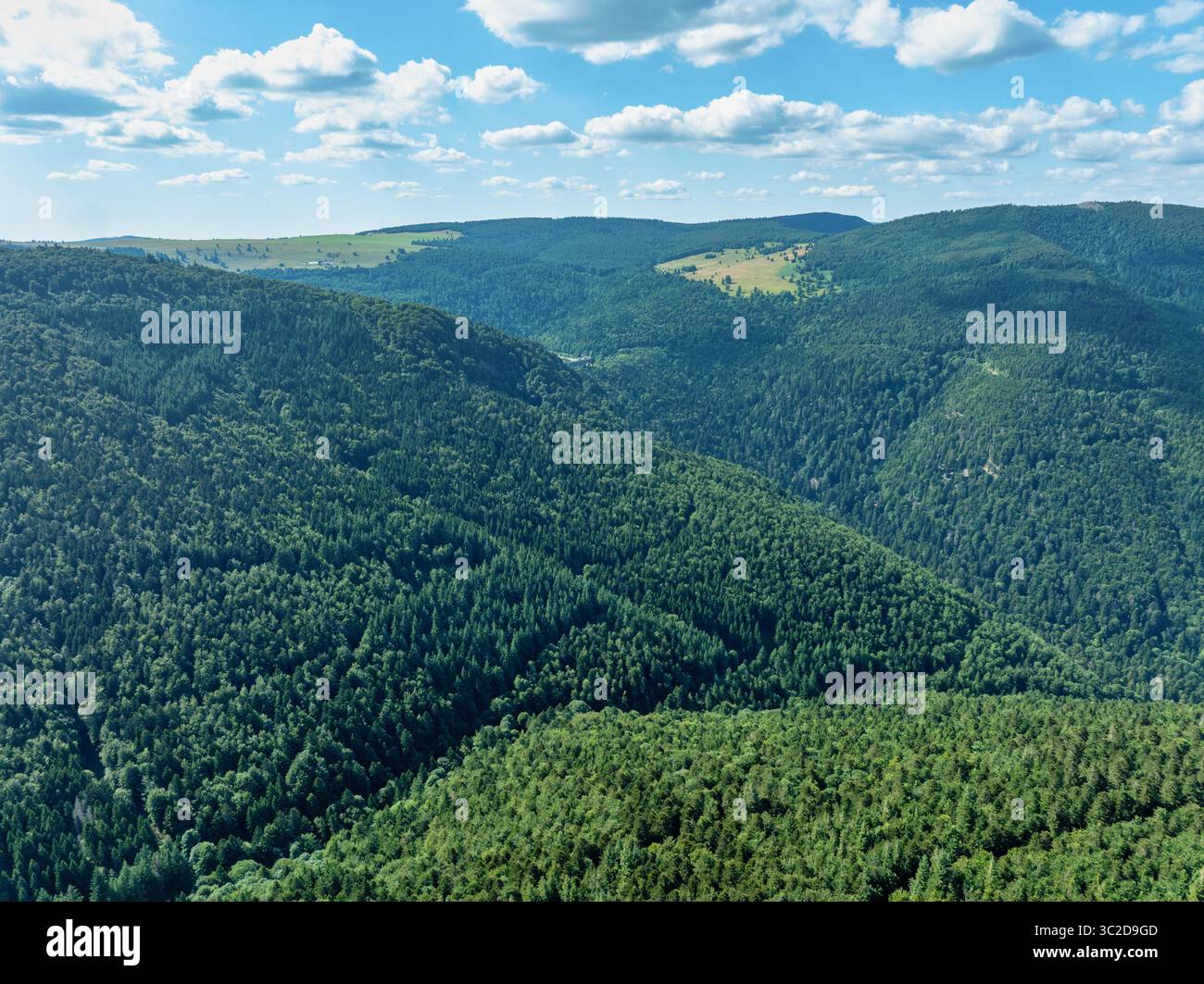 Vista aerea di una fitta foresta che si snoda sulle colline, un vivace arazzo di verdi profondi sotto un vasto cielo blu punteggiato da morbide nuvole bianche, Oderen, Grand Est, Francia. Foto Stock