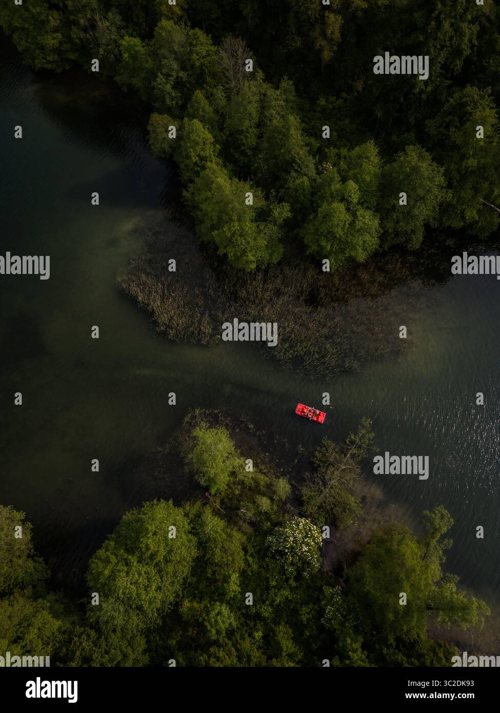Vista aerea di una vivace barca rossa che taglia le tranquille acque del lago Galve, abbracciata dalle foreste verdeggianti, Trakai, Vilnius, Lituania. Foto Stock