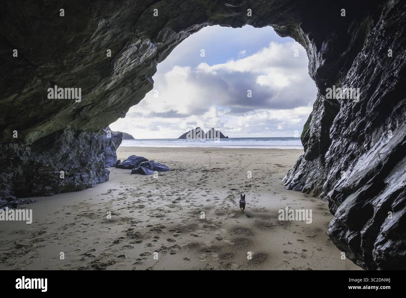 La vista della foce caverna rivela una spiaggia sabbiosa dove un cane si erge nanizzato dal vasto oceano e Gull Rocks sotto un cielo colmo di nuvole, Holywell Ba Foto Stock