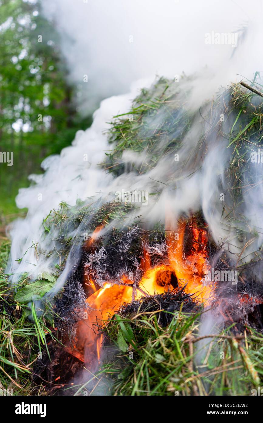 Erba appena tagliata bruciata con fumo lievitante bianco Foto Stock