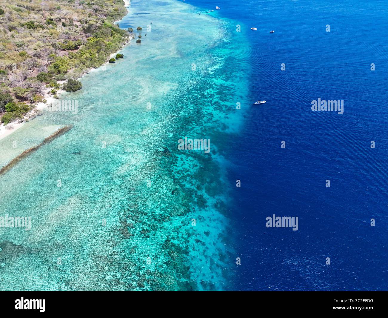 Vista aerea delle tranquille acque turchesi che incontrano il mare blu profondo vicino alla costa, un paradiso costiero di serenità, l'isola Menjangan, Bali, Indonesia. Foto Stock