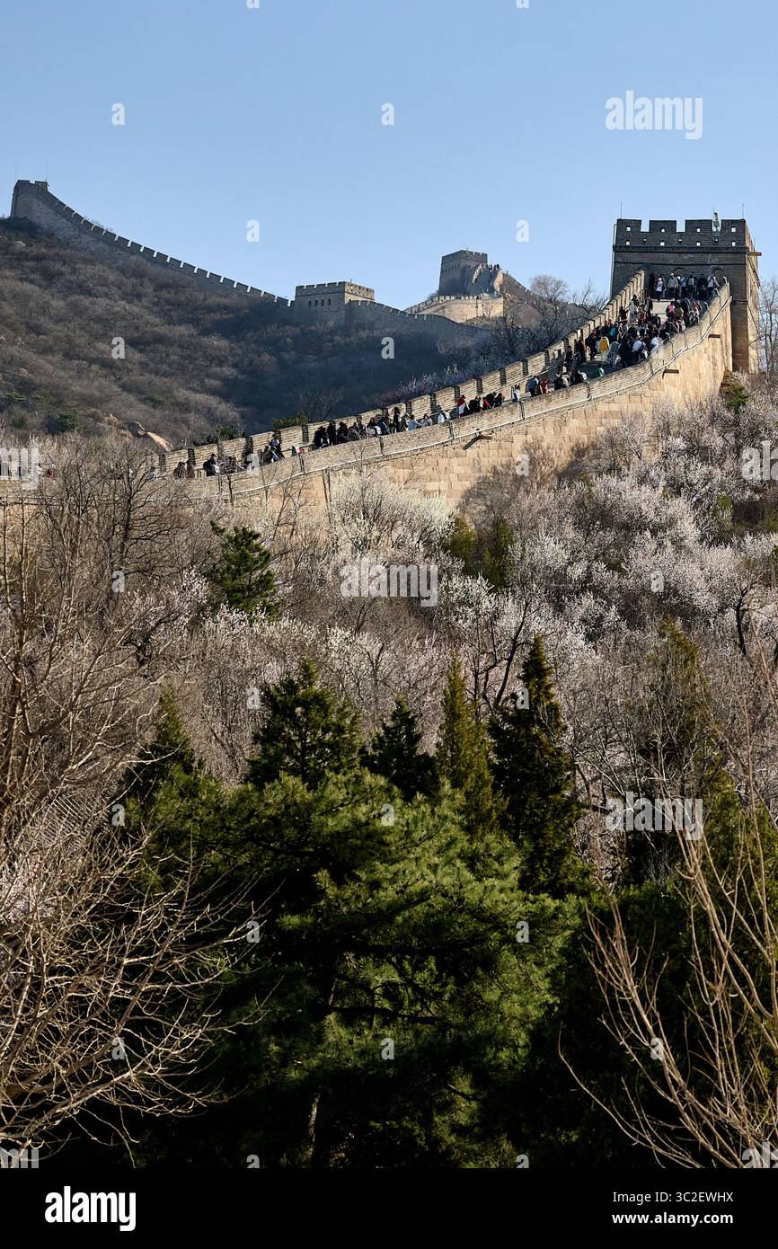 Vista panoramica primaverile della grande Muraglia a Pechino, aprile 2025 Foto Stock