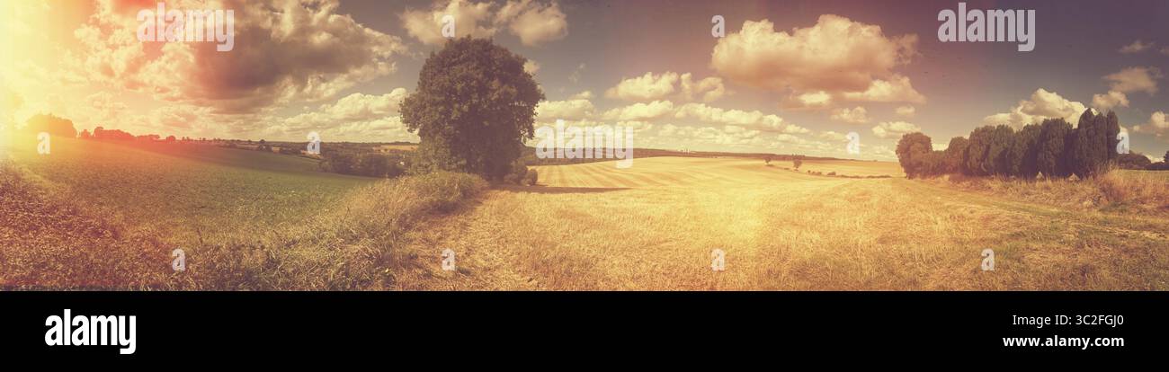 Ampio paesaggio panoramico che mostra una campagna soleggiata con campi, alberi e cielo. Perfetto per intestazioni o temi legati alla natura, traspirante Foto Stock